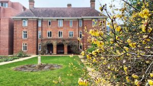 the small yellow flowers of wintersweet are growing, with the fellows garden sundial on the lawn in the backdrop