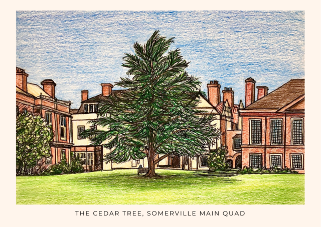 A colour, pencil sketch of the Cedar tree in Somerville's Main Quad with the library to the left and House and Hall behind. 