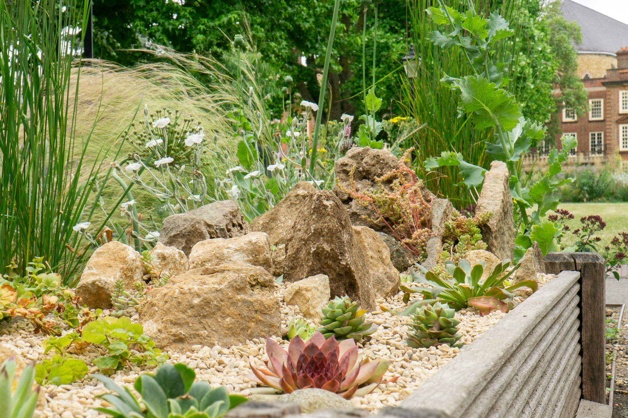 The gardens' new alpine bed by the Flora Anderson Hall