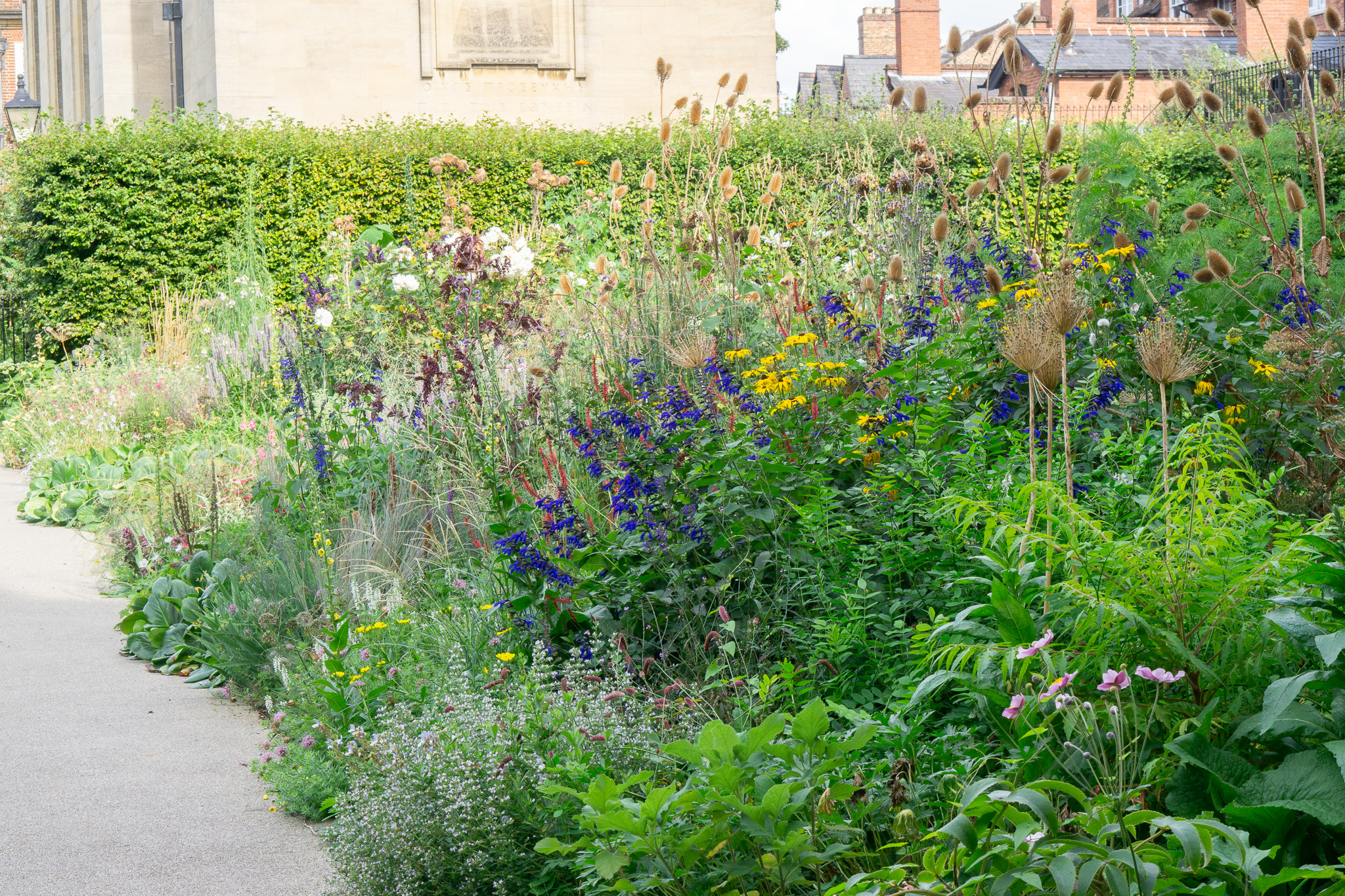 The Fellows' Garden borders continue to add colour and bounce to the college