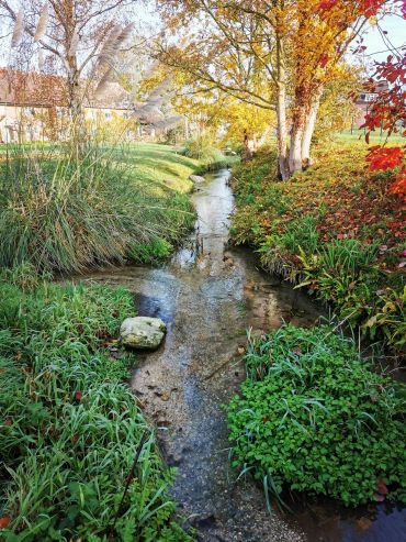 One of the rivers sampled for the study, located in England, UK. Image credit: Dania Albini.