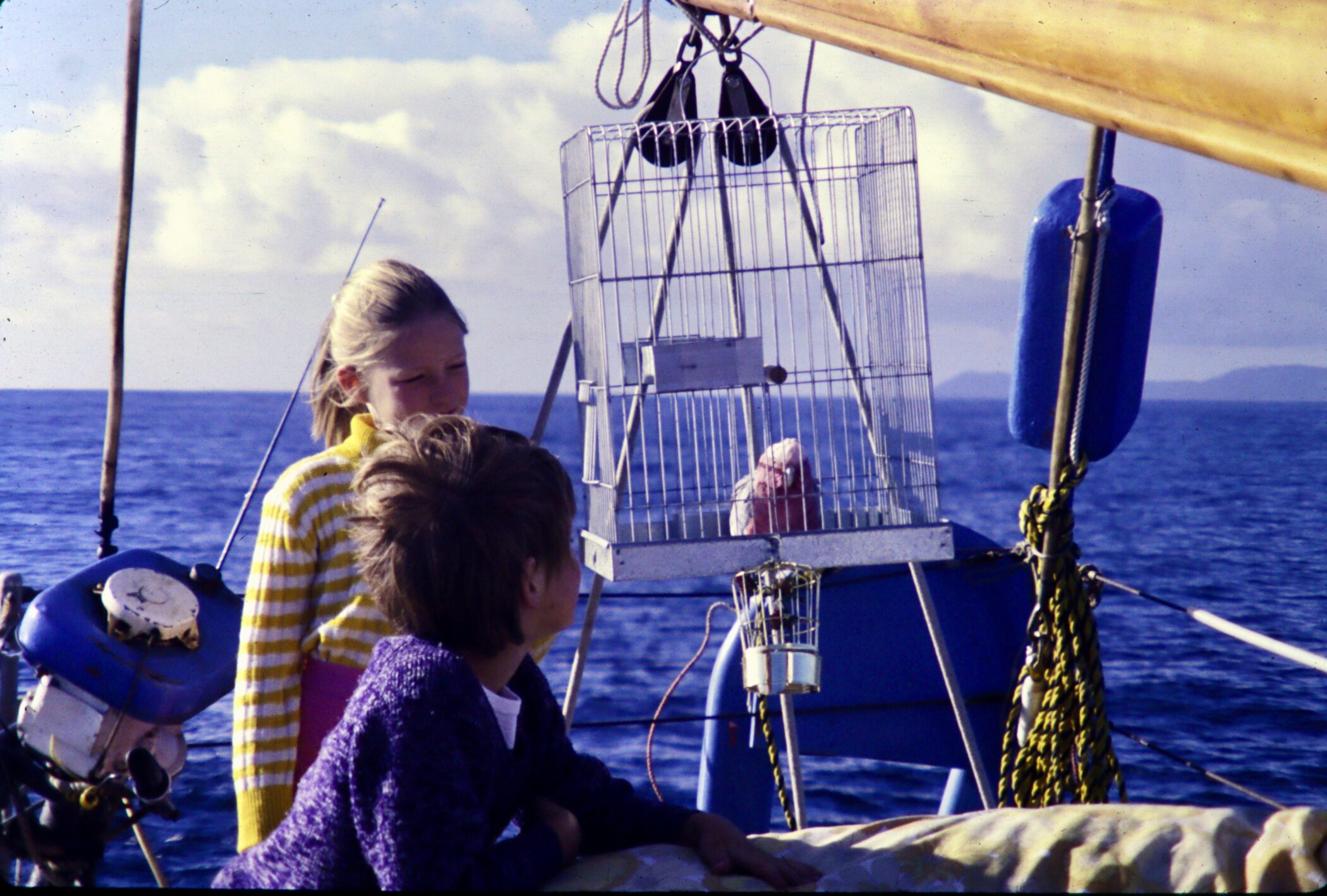 Suzanne's interest in zoology was first kindled by the world around her.