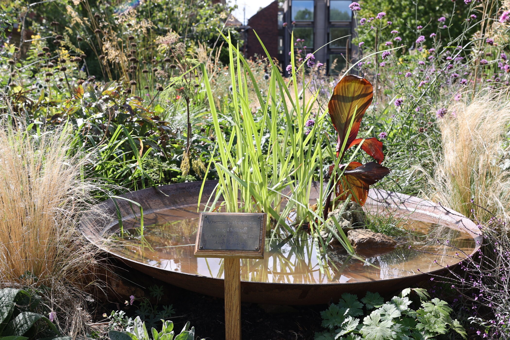 The garden's new water feature