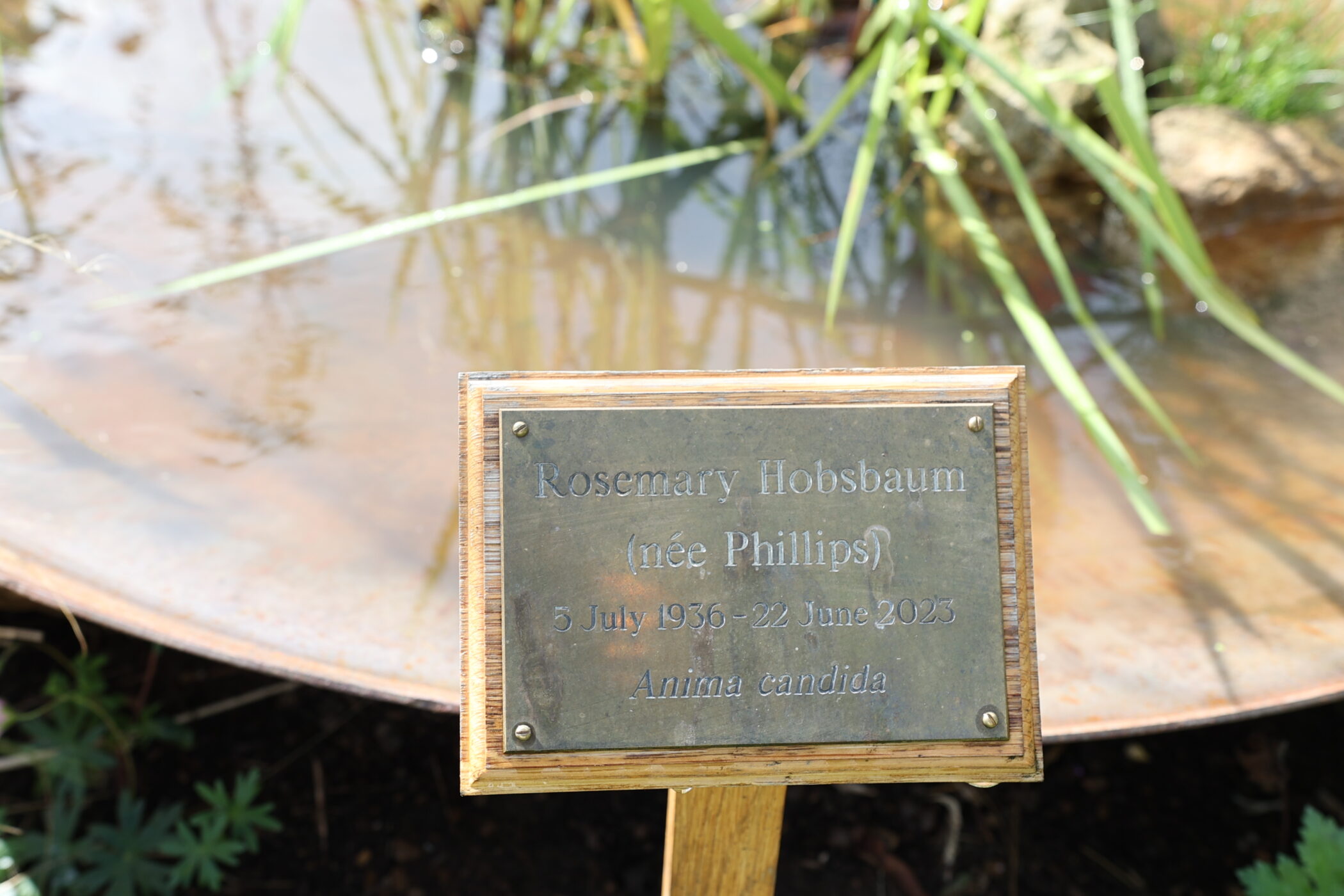 The dedication to Rosemary Hobsbaum