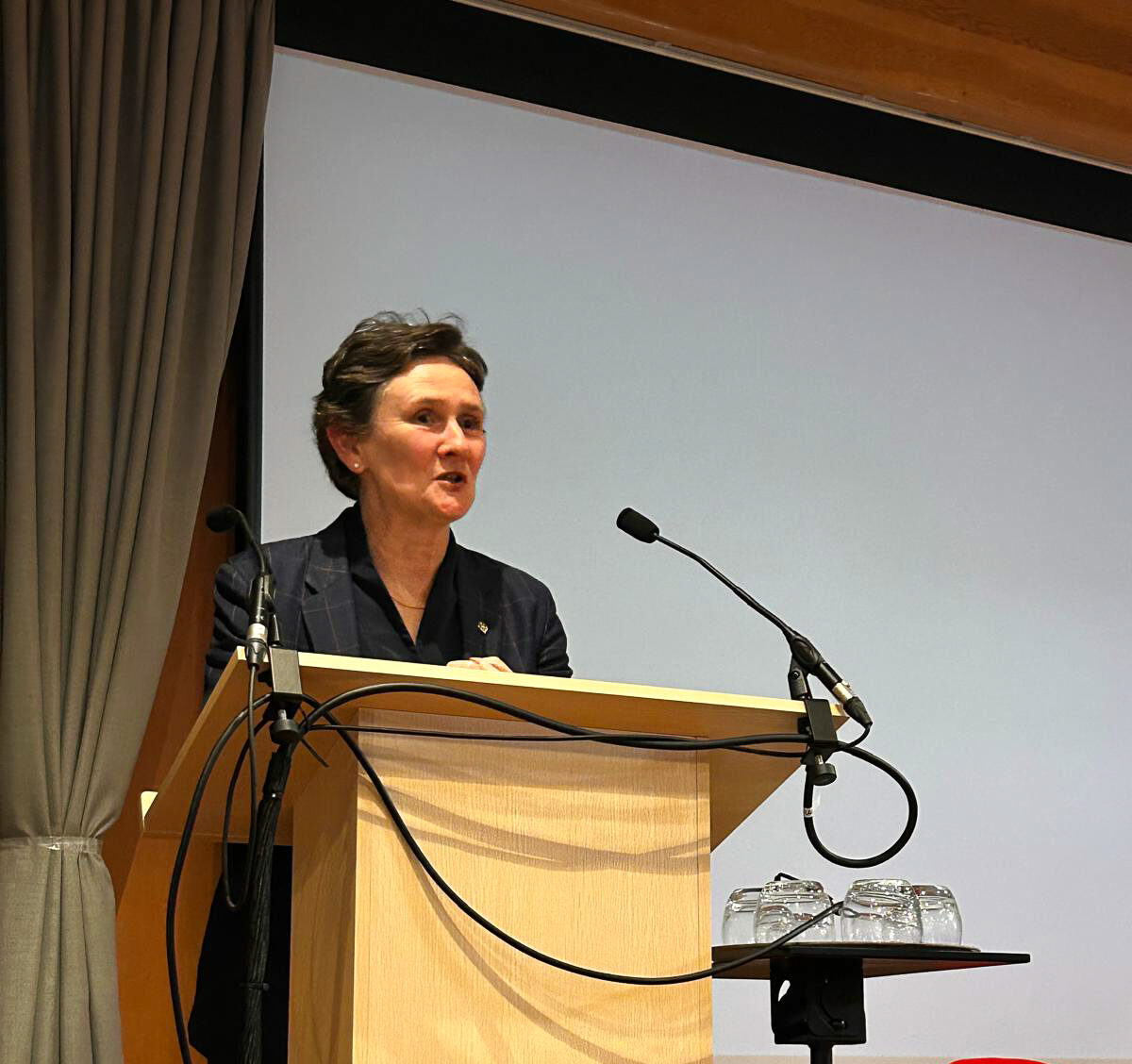 Vice Chancellor Irene Tracey giving her keynote speech
