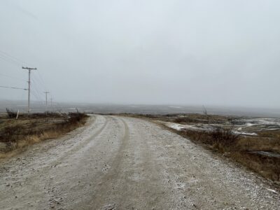 A frozen, starkly beautiful grey landscape.