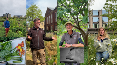 A collage of four images: a young man at an allotment, an older man in front of a flower bed, a woman in a garden with an image of a hedgehog overlaid, and a young woman in a wildflower meadow